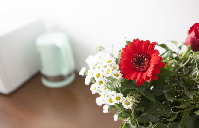 Alessia's Flat - Tortona - Photo 56