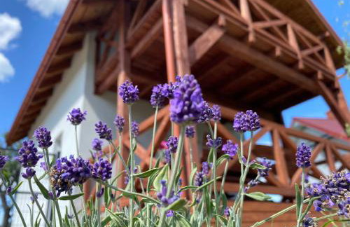 Domki pod Brzózką - Foto 12