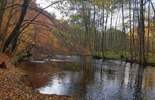 Villa Stare Osieczno - Foto 57