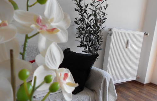 Apartment Beethoven - Foto 21