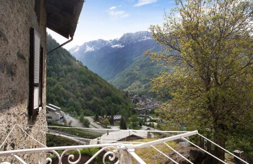 Bellavista - Foto 20