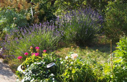 Une Heure Bleue - Foto 21