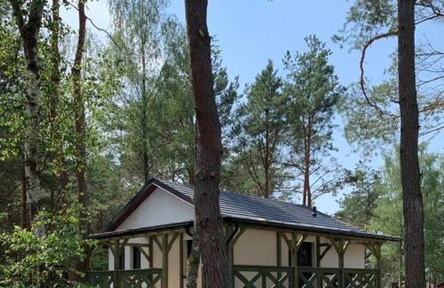 Sosnowy Domek nad jeziorem na Kaszubach - Foto 2