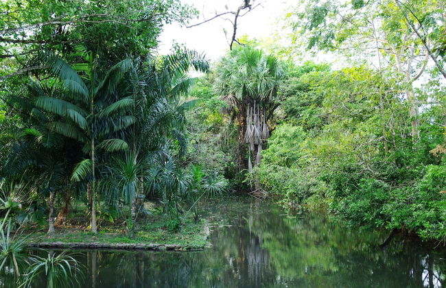 Hacienda Boutique - Photo 77