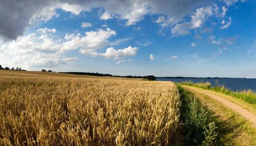 Gästehaus Wolf - Foto 5