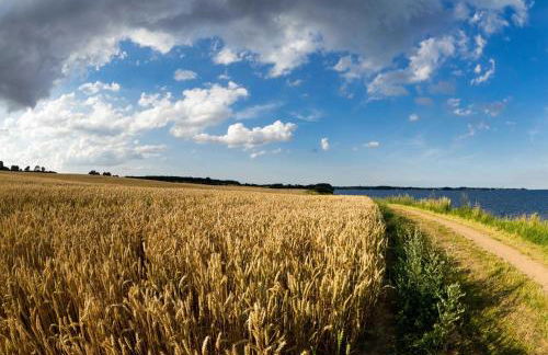 Gästehaus Wolf - Foto 5