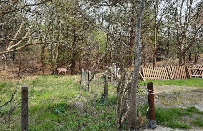 Holiday Apartment Beach View - Foto 29