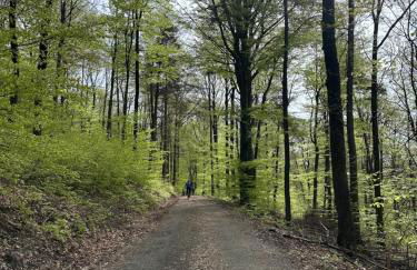 Ferienwohnung am Wald - Photo 41