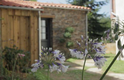 La Demoiselle de Bohardy - Photo 15