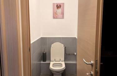 Grand T2 terrasse 27m2 plein sud Folelli centre - Foto 15