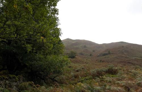 Daweswood, Patterdale, characterful with fairy tale garden and fell walks from the door - Foto 47