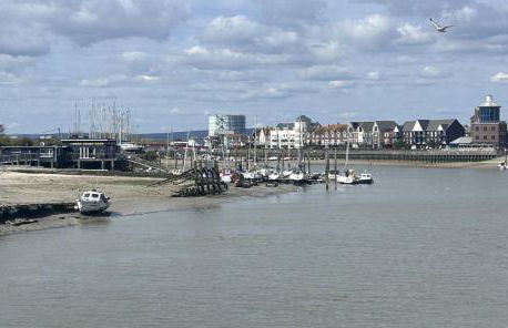 The Greenhouse - Foto 17