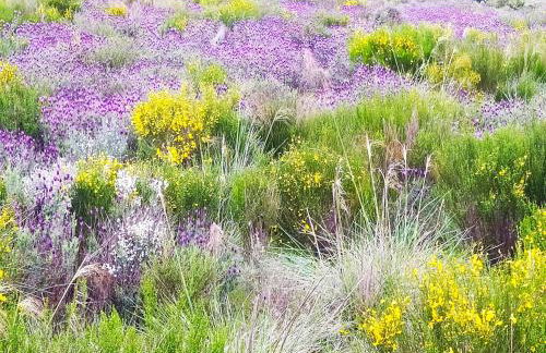 Casa D'Augusta - Agroturismo - Foto 65