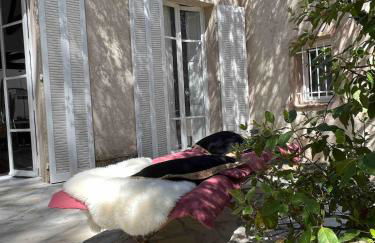 Villa Claudia Domaine les Palmiers - Foto 42