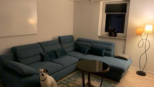 Zu Gast bei Freunden - Foto 5