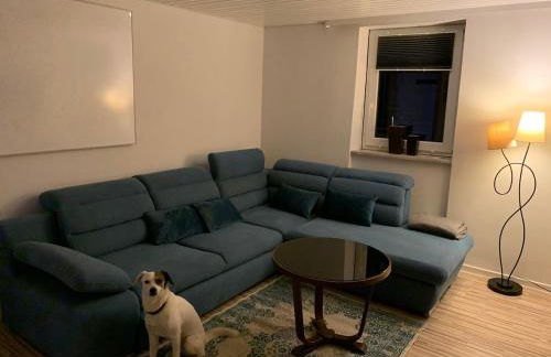 Zu Gast bei Freunden - Foto 5