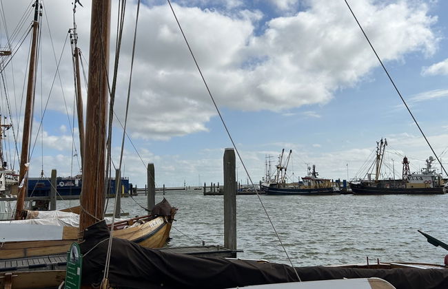 Den Oever - Photo 11