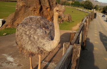 Vivienda Rural La Mazuga - Foto 71