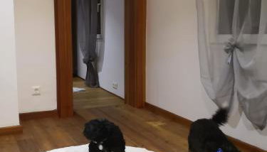 Haus am Fluss - Foto 4