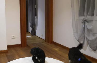 Haus am Fluss - Photo 4