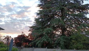 Maison 6 couchages avec jardin au coeur des châteaux de la Loire - Foto 2