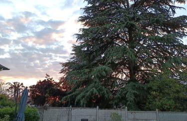 Maison 6 couchages avec jardin au coeur des châteaux de la Loire - Foto 2