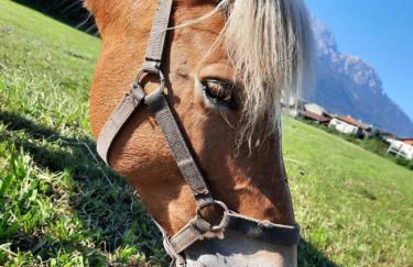 La casetta di Biancaneve Valtellina e lago di Como - Foto 38