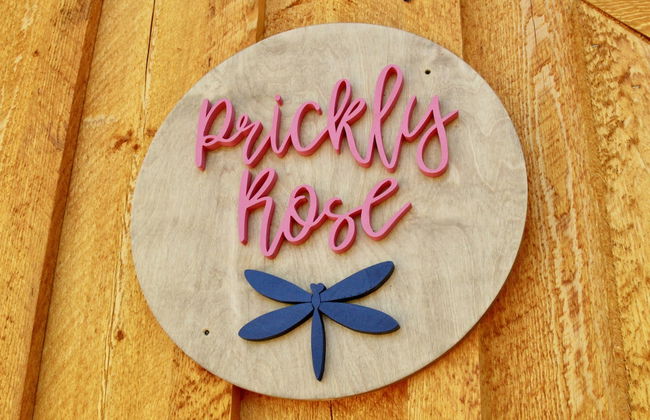 Arctic Dragonfly Inn - Foto 17