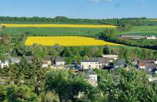 Panorama-Auszeit in Trierweiler - Foto 24