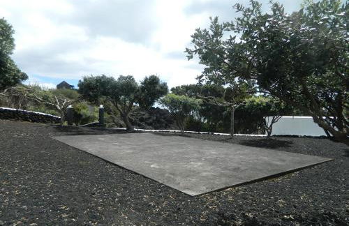 Adega Ninho da Cagarra - Photo 34