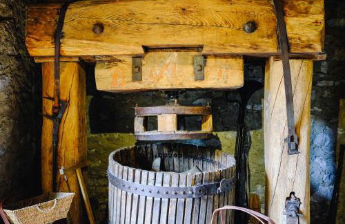 AGRITURISMO CA' FENILE - Foto 102