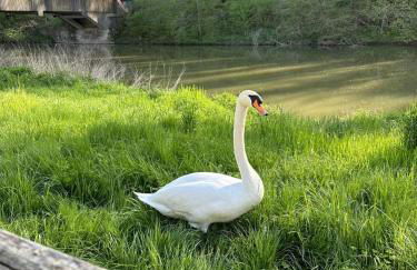 Ferienhaus Pure Jagst, Traum-Lage am Fluss mit Kaminzimmer und Infrarot-Wärmekabine - Foto 13