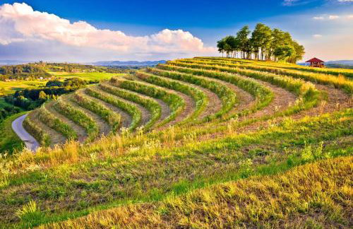 Eco House Lina With Hot Tub and Sauna - Happy Rentals - Foto 53