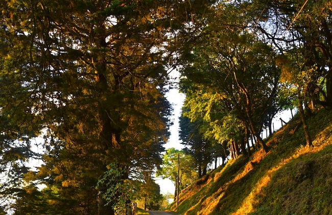 Santa Ana City Views Breathtaking Chalet - Foto 30