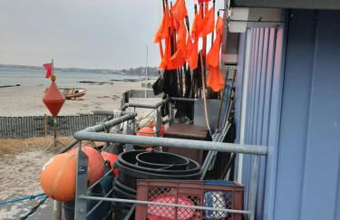 Lütte Höög - Foto 23