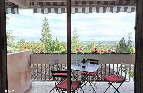 Appartement 2 P 5 PER ENTRE BEAUVAL & CHENONCEAU - Foto 1