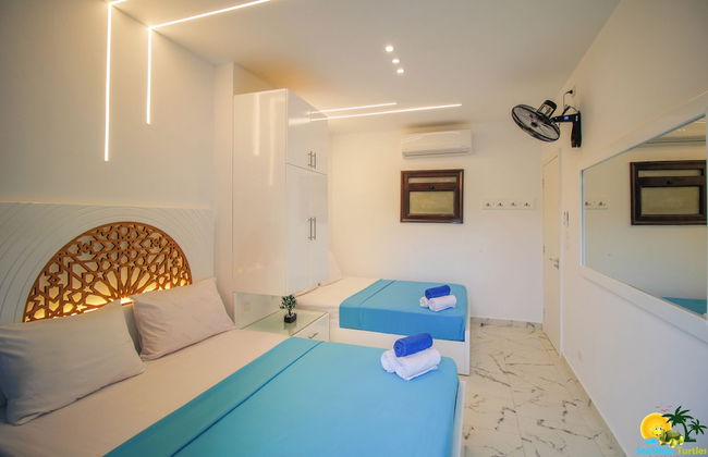 SeaView Turtles - Foto 24