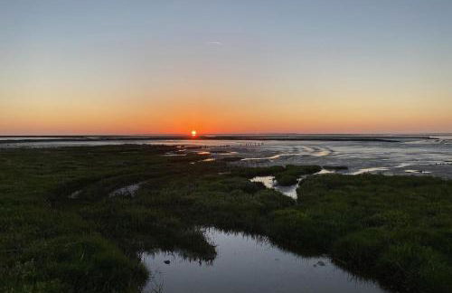 Ferienhaus Hornhecht - Foto 29