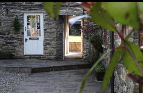 Bryn Melyn Farm Cottages - Foto 59