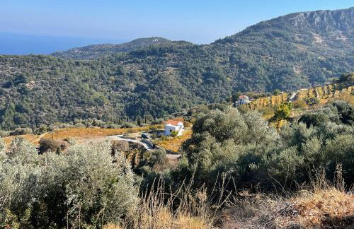 Manolates 360 - Photo 24