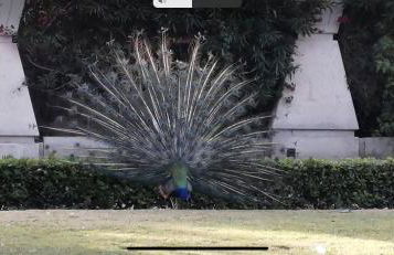 Beau et paisible T4 torrevieja - Foto 42