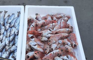 HACIENDA DEL MARQUES III To Chill - Foto 55