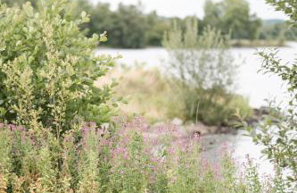 LakEscape - Waterfront Self- Catering Cabins - Foto 50