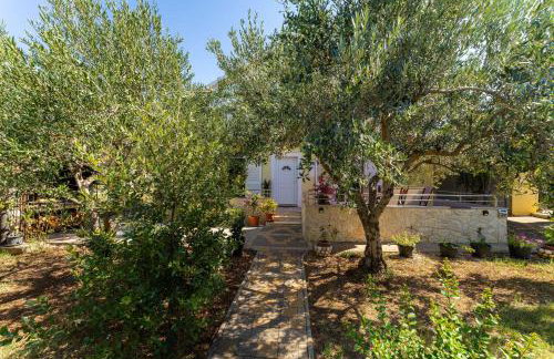 MY DALMATIA - Holiday home Olive Garden with private swimming pool - Photo 51