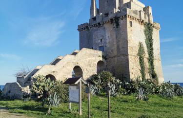 Capu Cilona - Foto 19