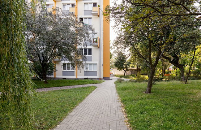 Klimatyczne Studio Metro Slodowiec - Foto 26