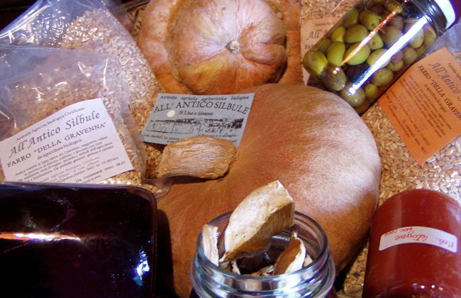 Antico Silbule - Photo 4