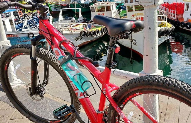 Viña del Mar Bicycle Tour - Photo 4