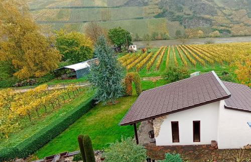 Ferienwohnung mit Blick auf die Moselloreley - Foto 16
