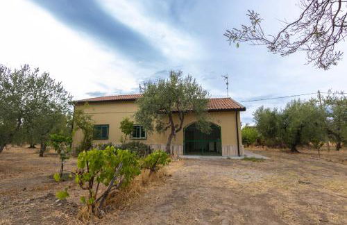 BasicNature - Foto 1